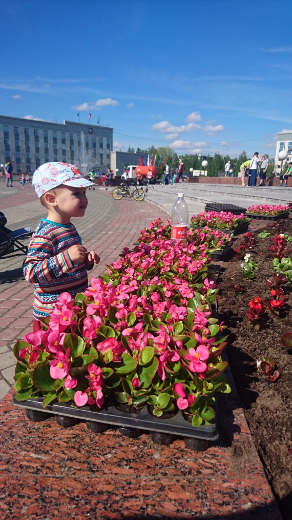 Сергей Степанов: ​Тюльпаны в Сургуте запаздывают, но они взойдут!