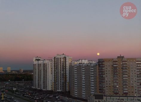 Жители Сургута все чаще покупают жилье без ипотеки