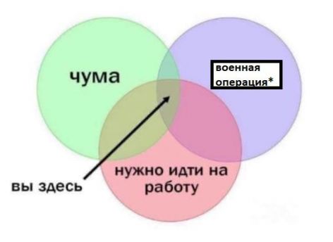 «Вечером после новостей смотрю фильмы ужасов, чтобы хоть как-то успокоиться»