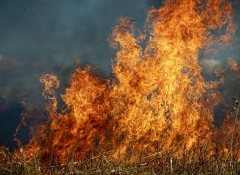 Количество ландшафтных пожаров в ХМАО выросло до четырех