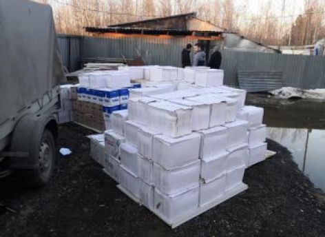 Югорчанин потратил свыше миллиона рублей на покупку контрафактного алкоголя