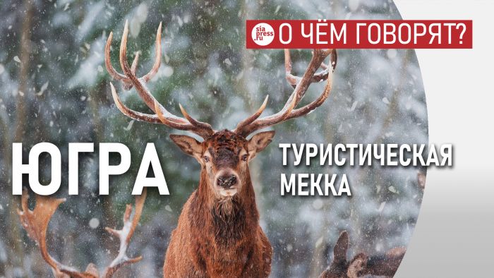 ​Югра может быть туристической Меккой, но без логистики она никому неинтересна