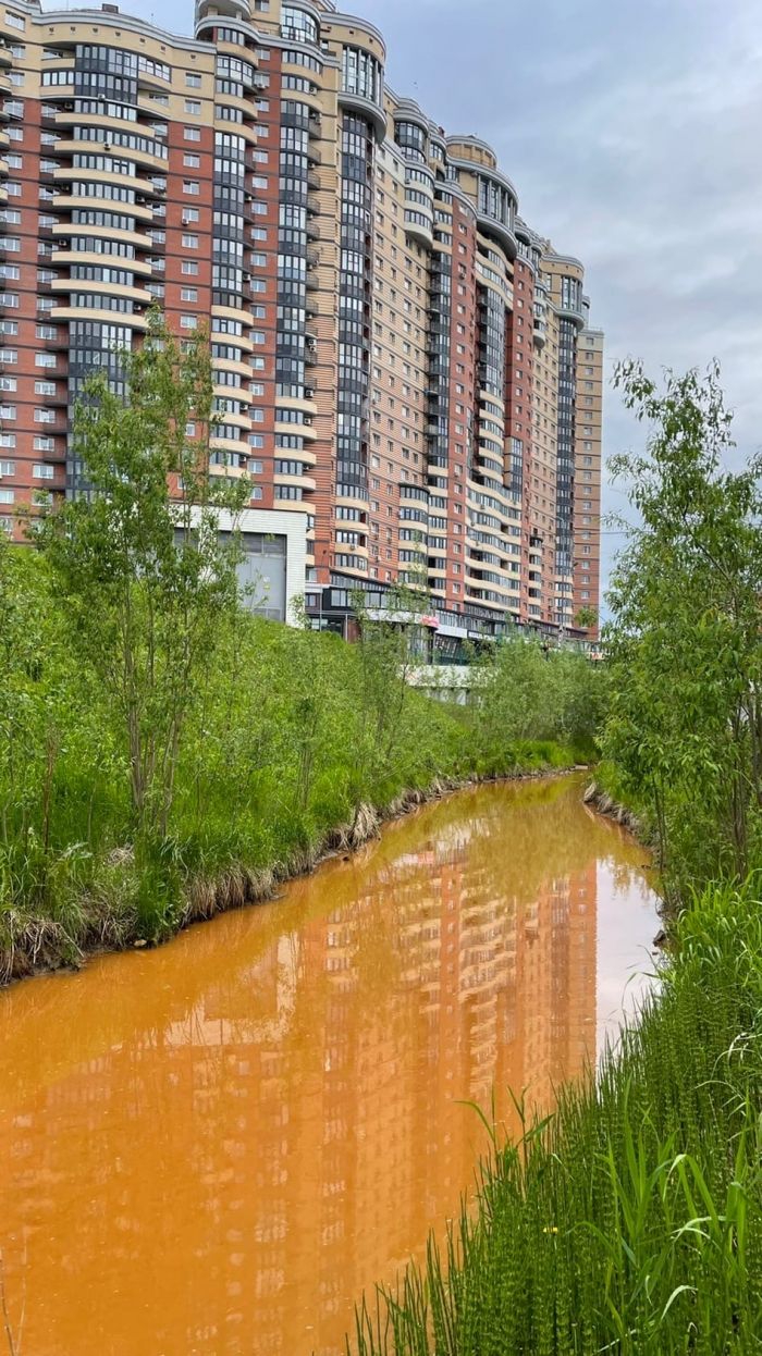 ​Сайму и Бардаковку убивают десятилетние коррупция и равнодушие чиновников