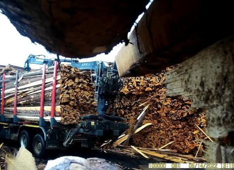 В Югре природоохрана выявила 34 нарушения с помощью фотоловушек