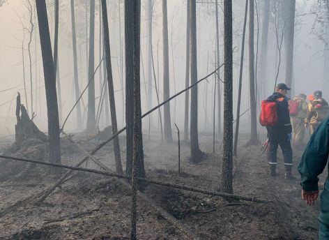 Из-за пожаров в лесах в Югре ввели режим ЧС