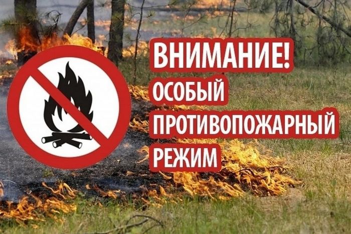 В Югре ввели особый противопожарный режим. Какие запреты он несет?