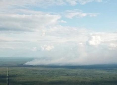 Повышенное содержание угарного газа и сероводорода обнаружили в ХМАО из-за лесных пожаров