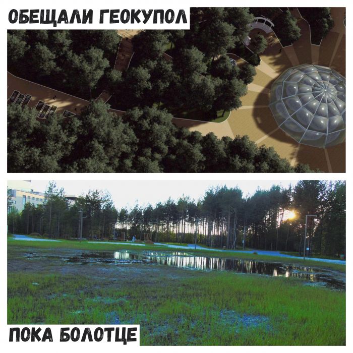 ​А геокупол-то где? – Или ради чего вырубили гектар «Кедрового Лога»