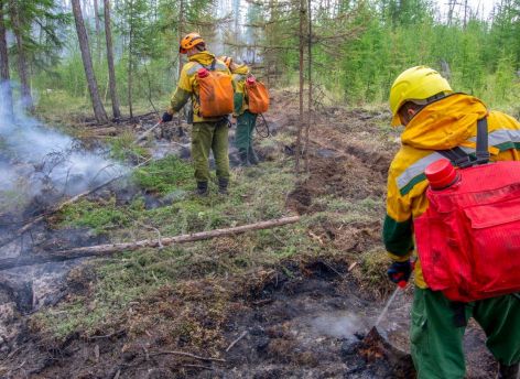 Югра заняла первое место по количеству лесных пожаров