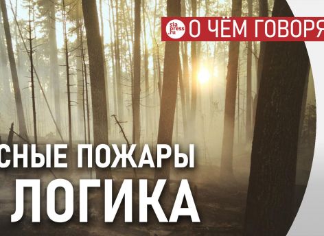 У федеральной власти в отношении пожаров простая логика: сегодня леса горят, завтра их потушит дождь, беспокоиться не о чем
