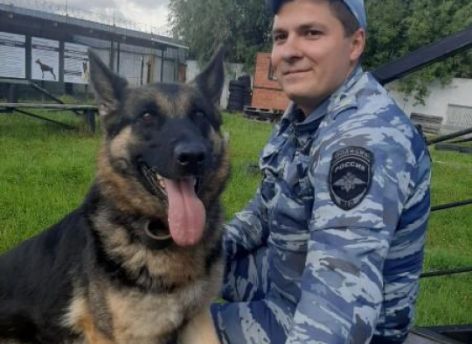 Полицейская овчарка помогла найти пропавшую пенсионерку в Нижневартовске