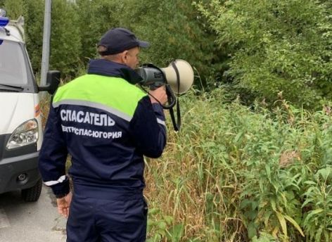 В Советском районе в лесу заблудились двое пенсионеров