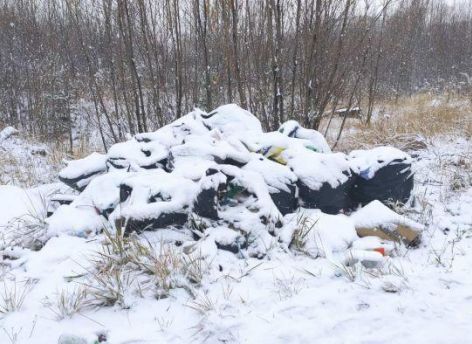В Мегионе ликвидировали 37 стихийных свалок