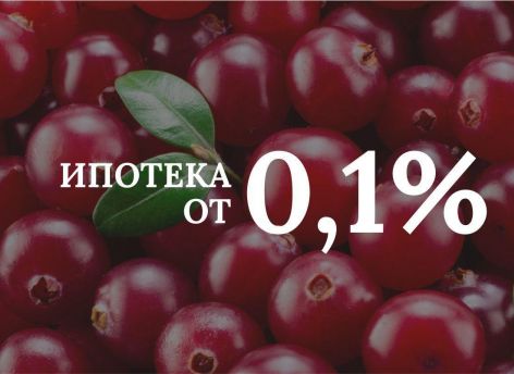 Студия с одной спальней площадью 39,4 м² в доме «Клюква» за 13 472 ₽ в месяц*