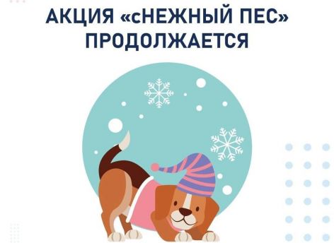 Югорчан приглашают присоединиться к акции «сНежный пес»