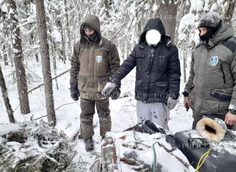 Югорчанин попался на незаконной охоте на соболей