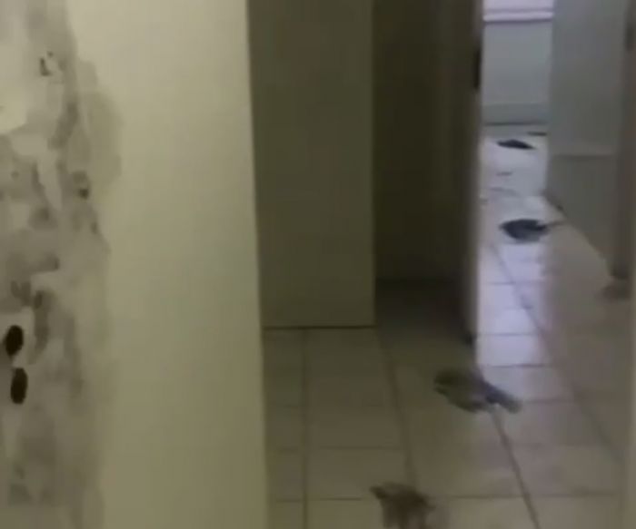 ​Наша база