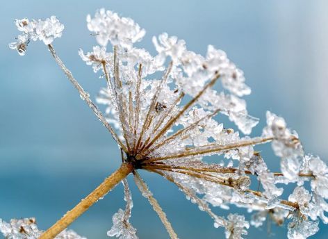 В Югре похолодает до -30 градусов