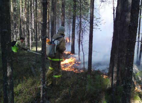 Югра готова пройти пожароопасный период во всеоружии