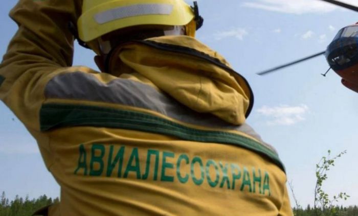 ​В Югре борются с лесным и природным пожарами