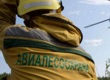 В Югре борются с лесным и природным пожарами