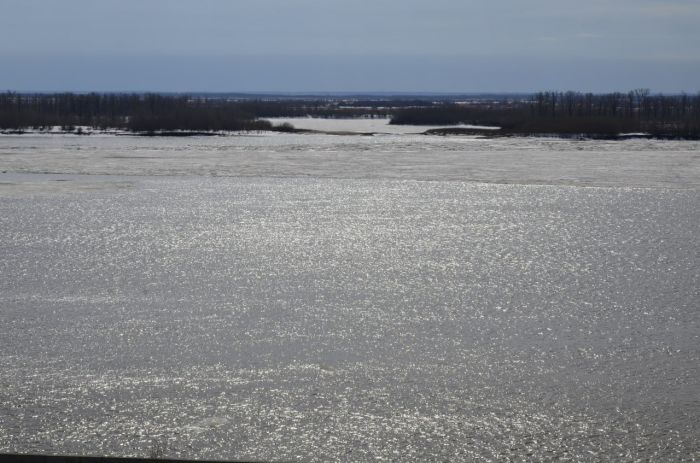 ​На 8 см вырос уровень воды в Оби за сутки