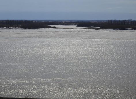 На 8 см вырос уровень воды в Оби за сутки