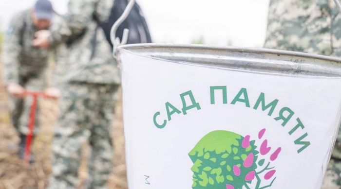 ​В Югре появятся кедровые сады в память о ветеранах ВОВ