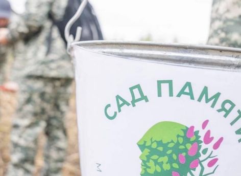 В Югре появятся кедровые сады в память о ветеранах ВОВ