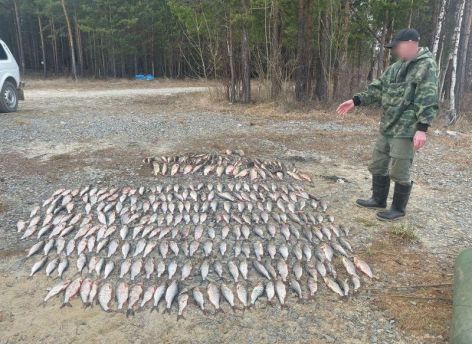 Вартовчанин незаконно выловил сетями почти 300 рыб