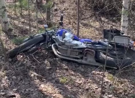 В Пыть-Яхе погиб байкер после столкновения с деревом