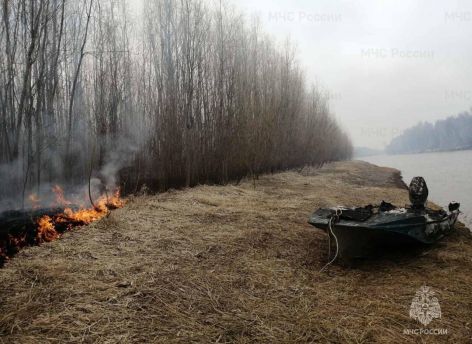 Гасили огонь котелками, черпаками. В Березовском районе спасли лес от пожара