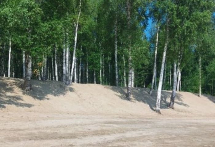 ​В Нижневартовске парки и скверы обрабатывают от клещей
