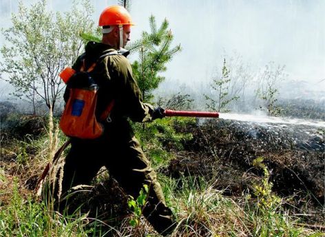 В заповеднике «Юганский» в ХМАО дотушивают крупный пожар