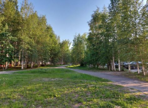 Мы все еще можем остановить экологическую катастрофу в центре Сургута