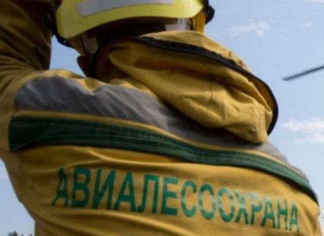 В Югре тушат 6 лесных и 3 природных пожара