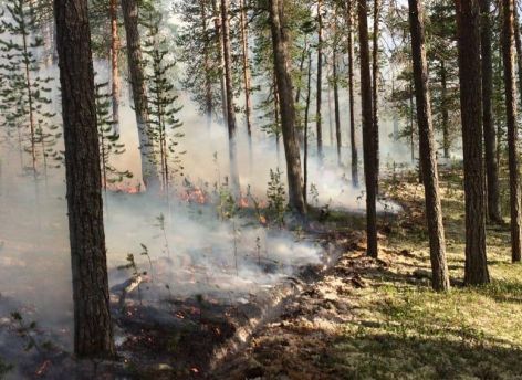 В ХМАО осталось 3 лесных пожара на площади 6 гектаров