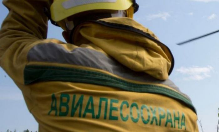 ​В Югре тушат 6 лесных пожаров