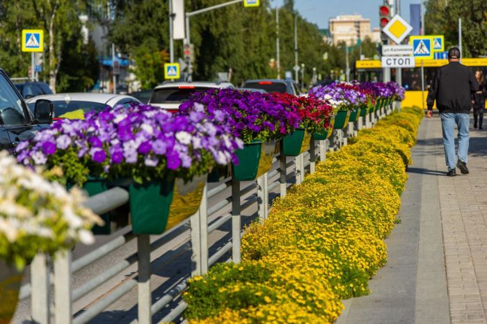 В Ханты-Мансийске высадили футбольное поле цветов