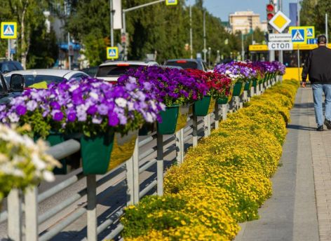В Ханты-Мансийске высадили футбольное поле цветов