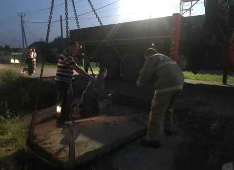 Огнеборцы Югры спасли собаку, застрявшую в водосточной трубе