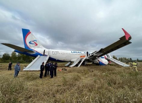 Югорчанка с дочерью оказалась на борту самолета «Сочи-Омск», севшего в пшеничном поле