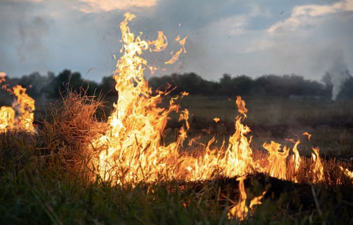 В Югре действует наивысший класс пожарной опасности