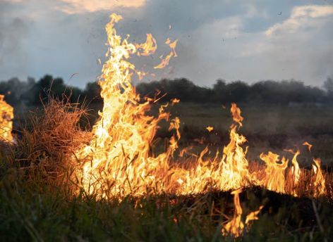 В Югре действует наивысший класс пожарной опасности