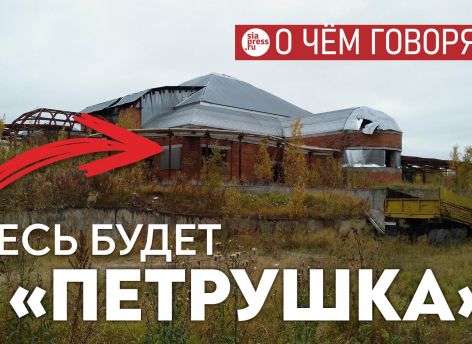 Почему бы не реконструировать и расширить Дом пионеров, и поселить там «Петрушку»?