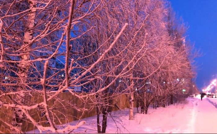 Сургут и Нижневартовск вошли в число городов с высоким качеством жизни