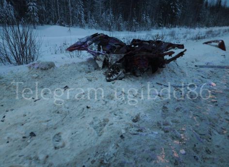 В Югорске Honda врезалась в фуру - погиб 40-летний мужчина