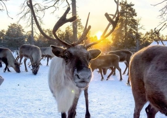 Сургутский район облюбовали туристы