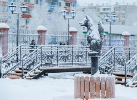 Зима окончательно успокоилась? В Сургуте всю неделю будет тепло