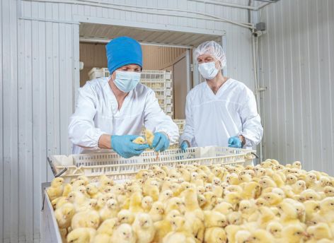 В ХМАО назвали самый «мясной» муниципалитет